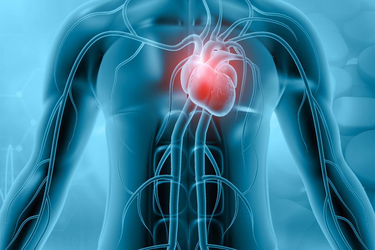 ‘Game Changer’: Albanese Government Pumps $50 Million into World-First Artificial Heart