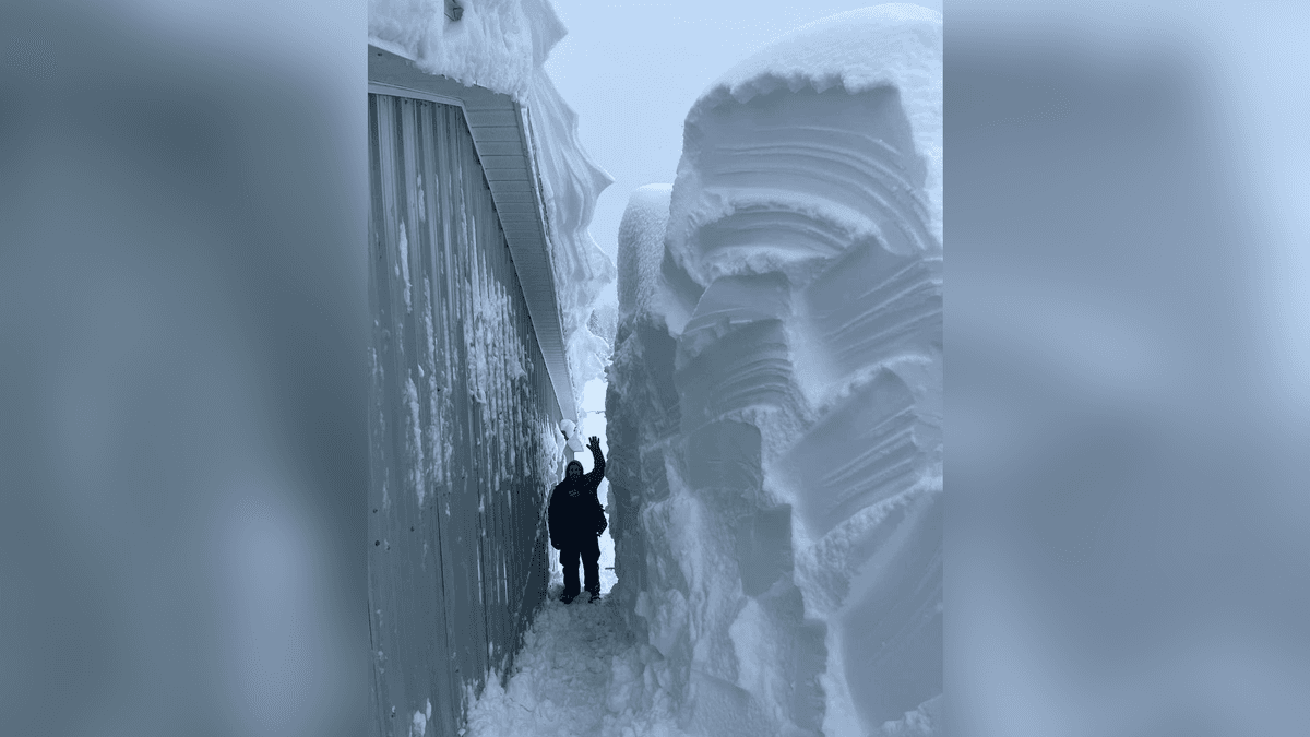 Nova Scotia Residents Digging Out After Storm Drops 150 cm of Snow