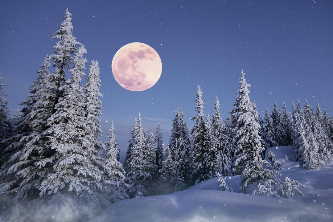 Full ‘Snow Moon’ in February Will Be a ‘Micro Moon’—And It’s the Exact Opposite of a Super Moon