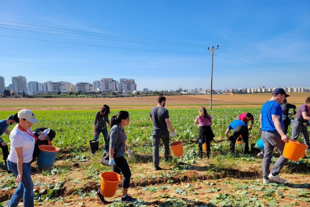 American Jews Show Support for Israel by Volunteering During Wartime