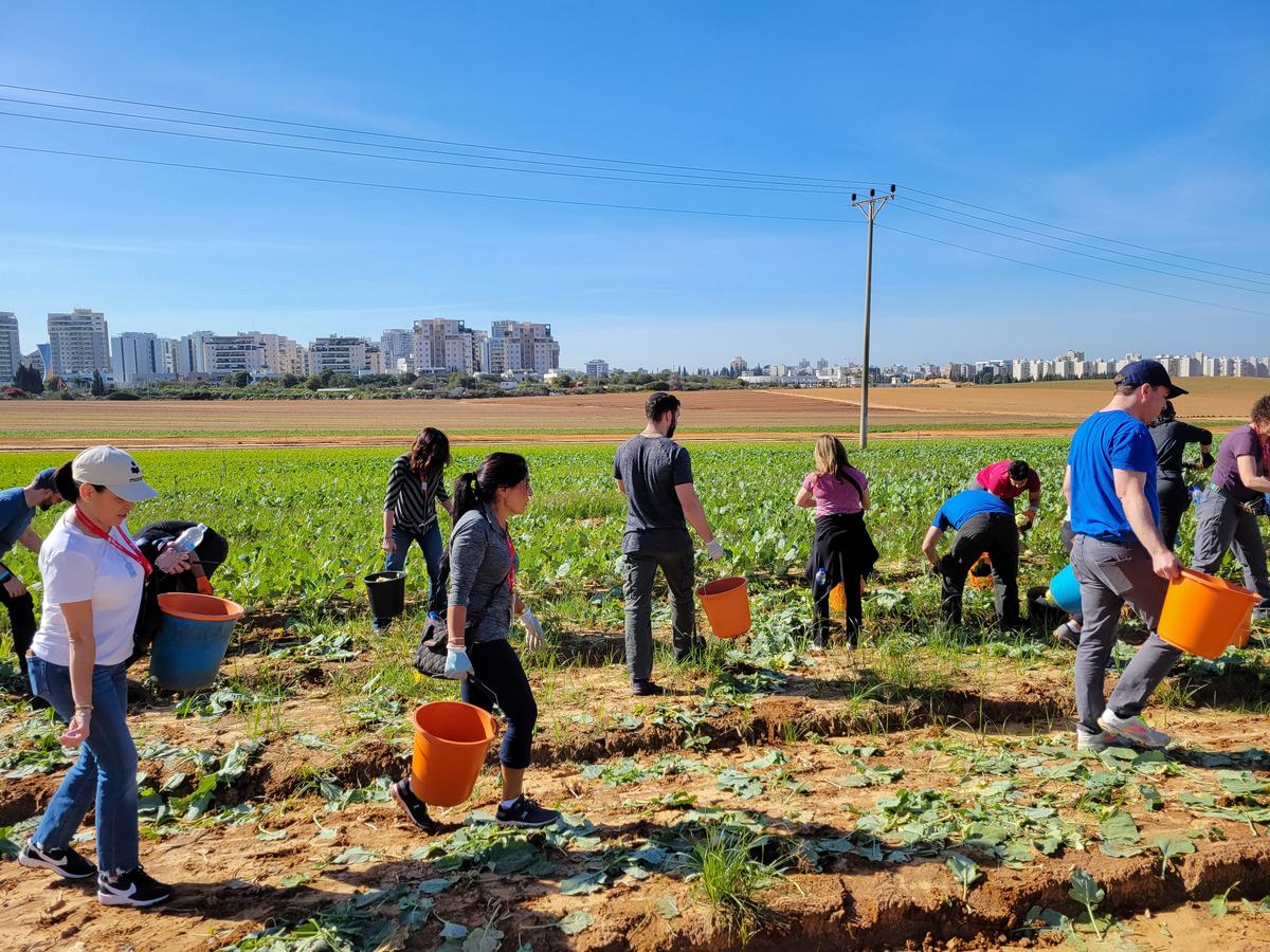 American Jews Show Support for Israel by Volunteering During Wartime