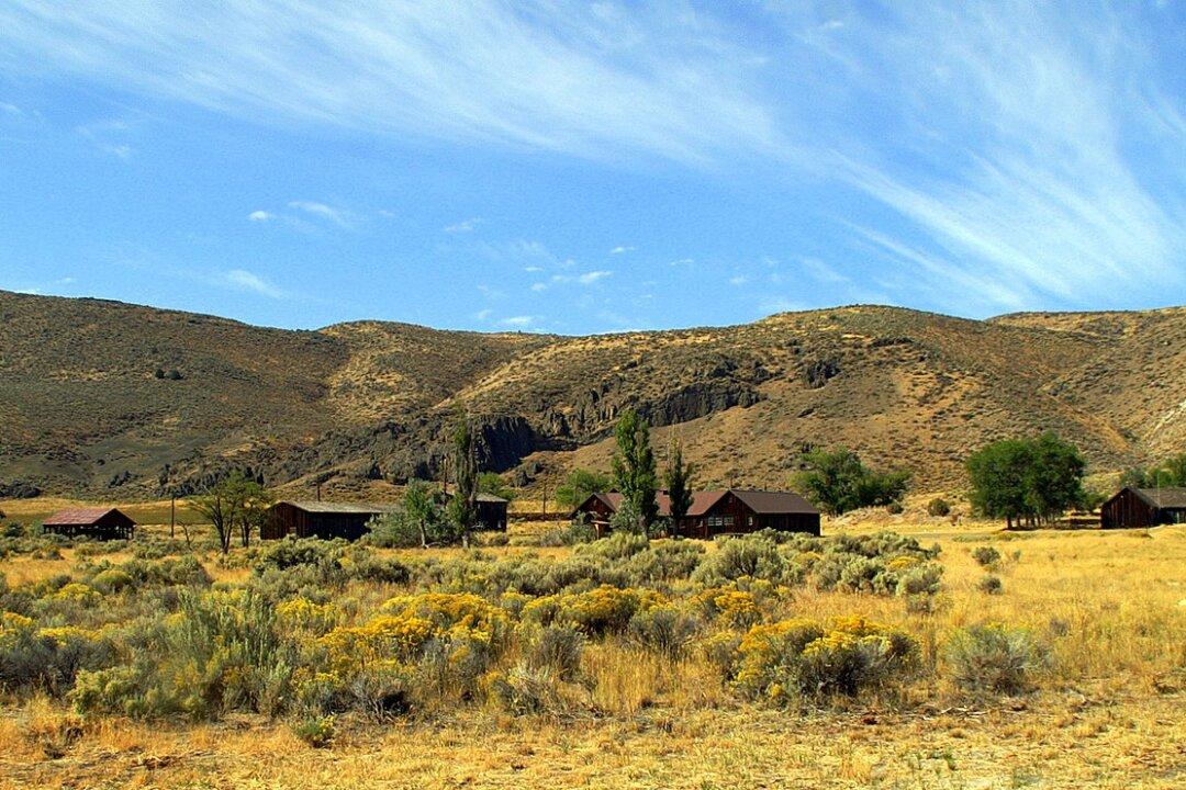 Patriotism Behind Barbed Wire