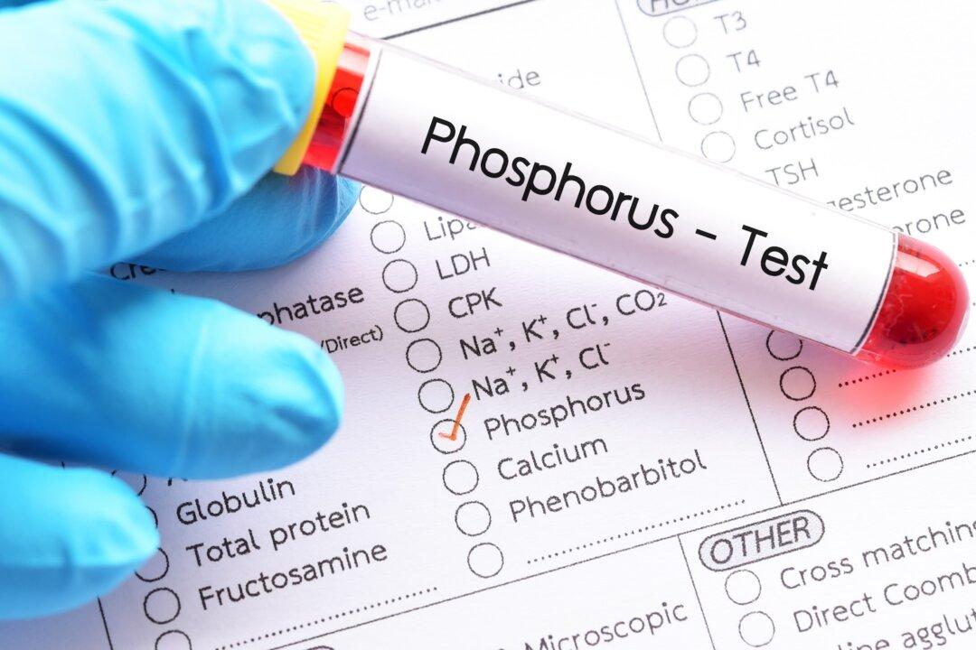 Excessive Phosphorus in Food and Medicine: A Growing Concern