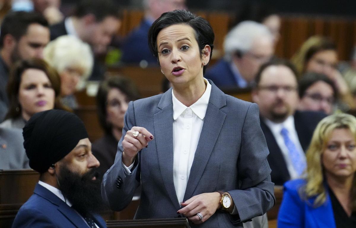 MPs React After Officer Questions Protest Attendee About Stance on Palestine Statehood to Access Parliament Hill