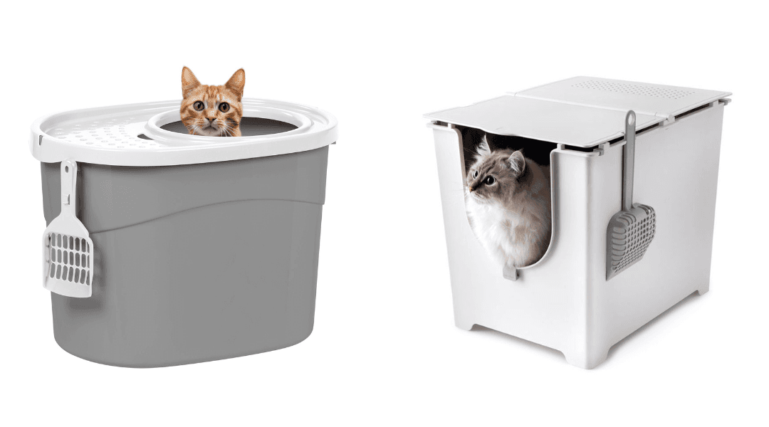 The Best Cat Litter Boxes