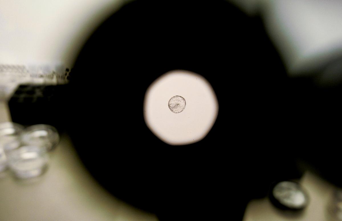 In Vitro Embryos Are Children Protected Under Law: Alabama Supreme Court