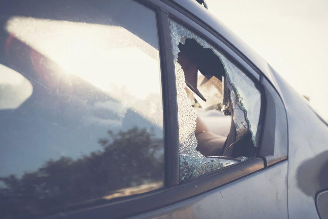 The Great Reset Didn’t Work: The Case of EVs