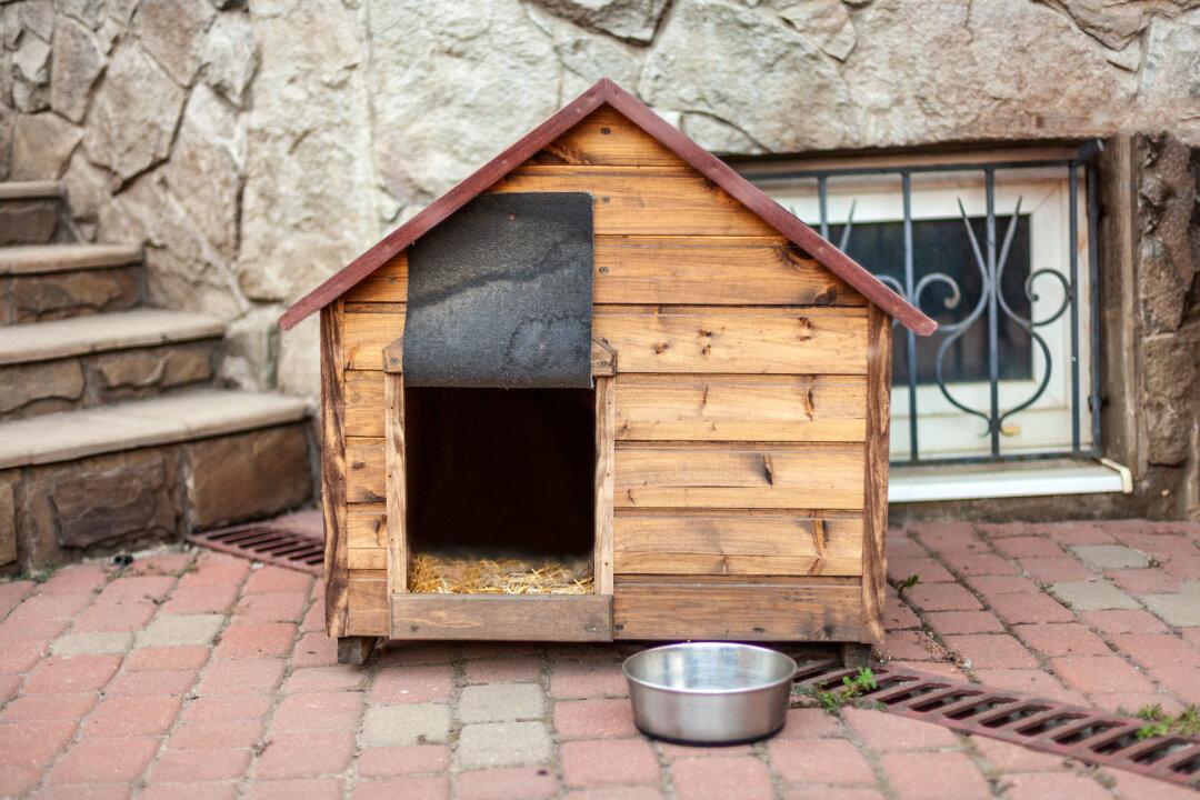 Simple-to-Build Doghouse