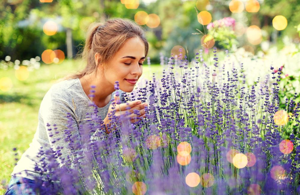 Backyard Aromatherapy: How to Design a Fragrant Garden