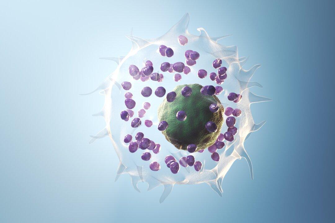 What Is Mast Cell Activation Syndrome?