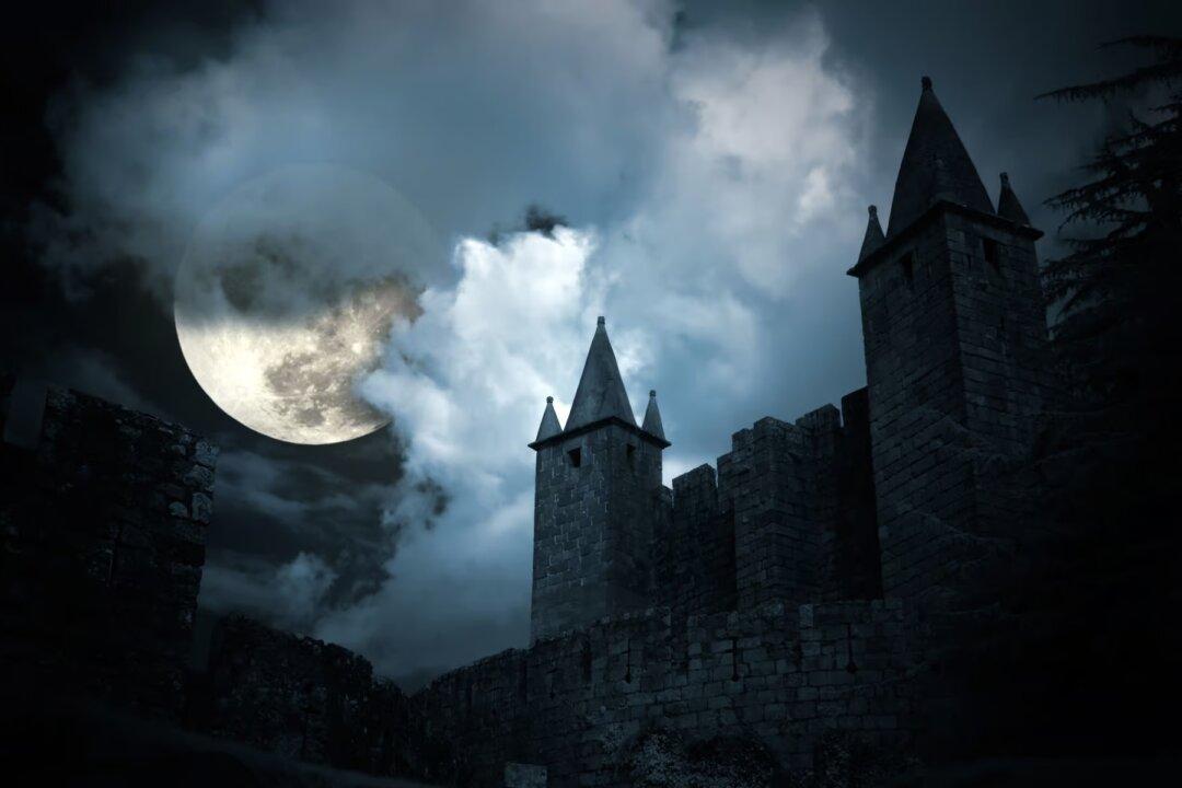 Schumpeter on How Higher Education Wrecks Freedom