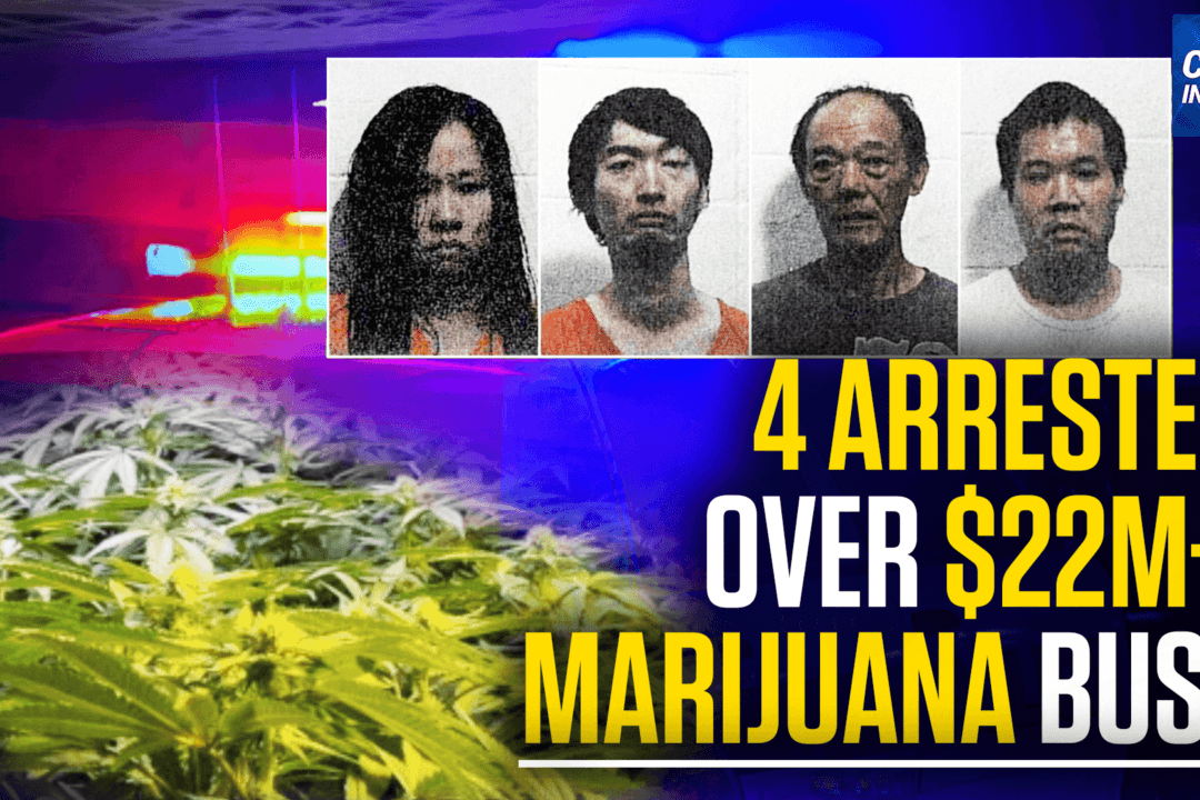 4 Chinese Nationals Arrested in Georgia Marijuana Bust