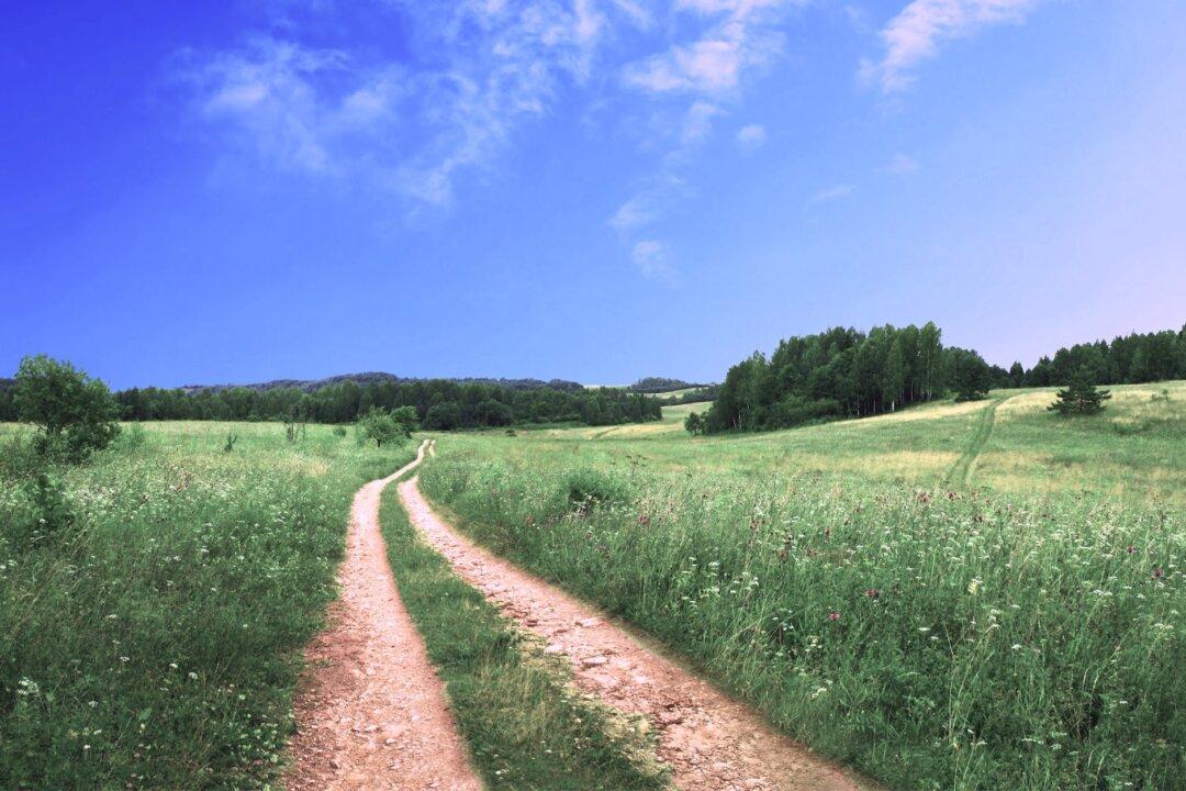 A Proverb of Balance: ‘The Grass Is Always Greener’