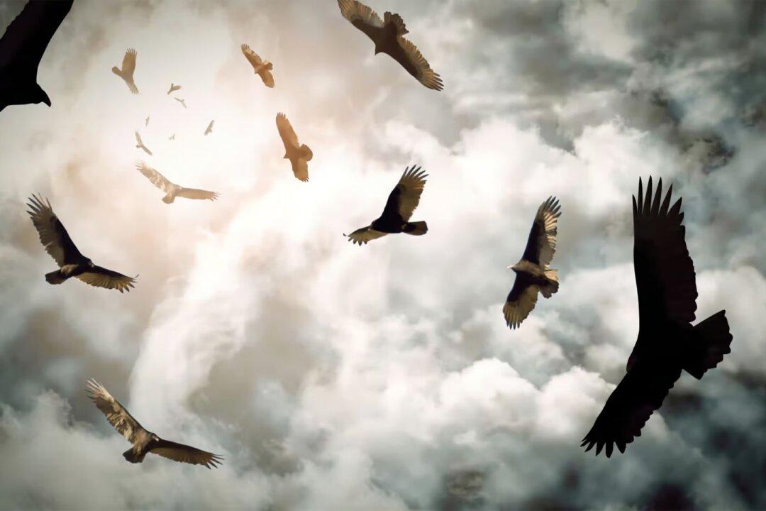 A Digital Coup d'État