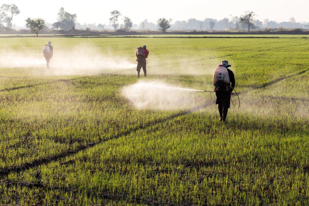 Pesticides on Your Plate? How to Shield Your Gut Now!