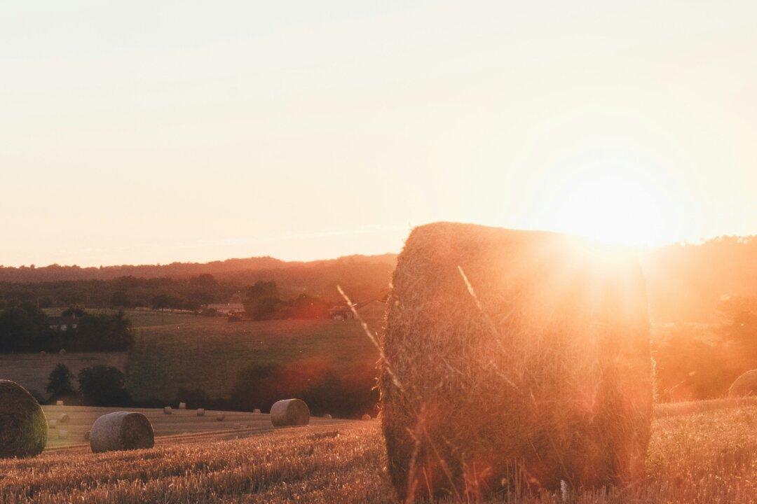 The Scrambling of Ideology