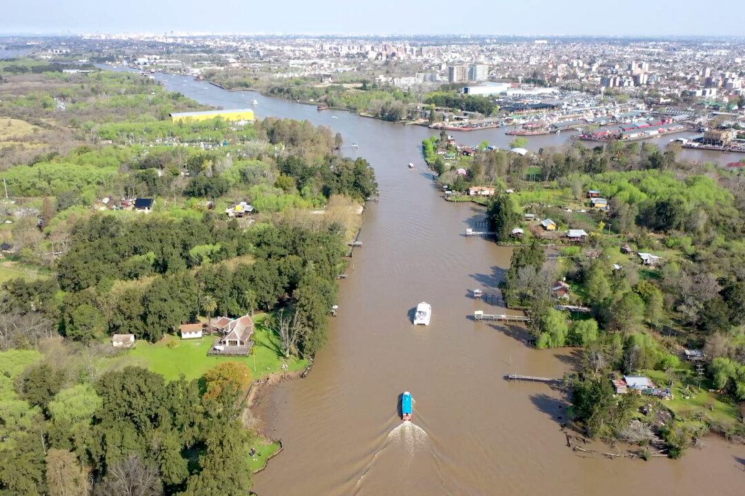 The Life Aquatic: A Day in Argentina’s Tigre Delta