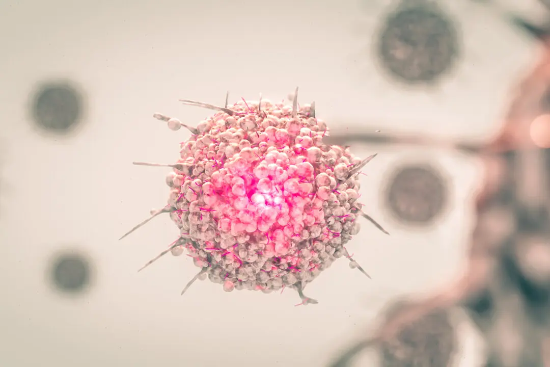 A Novel Theory on Breast Cancer and Exercise