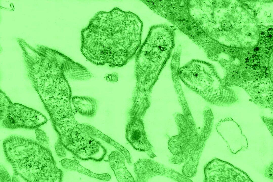 Health Officials Issue Warning on Mumps Outbreak in New Jersey