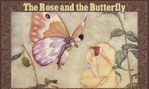 Miss Rose Sees Mister Butterfly Flirting With Others—Their Innocent Conflict Is a Big Relationship Lesson