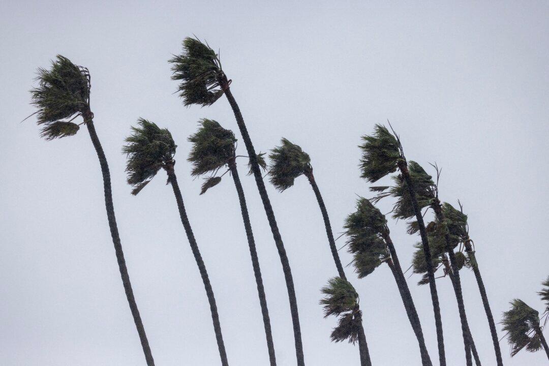 Southern California Blasted With Santa Ana Winds Reaching Nearly 90 Mph
