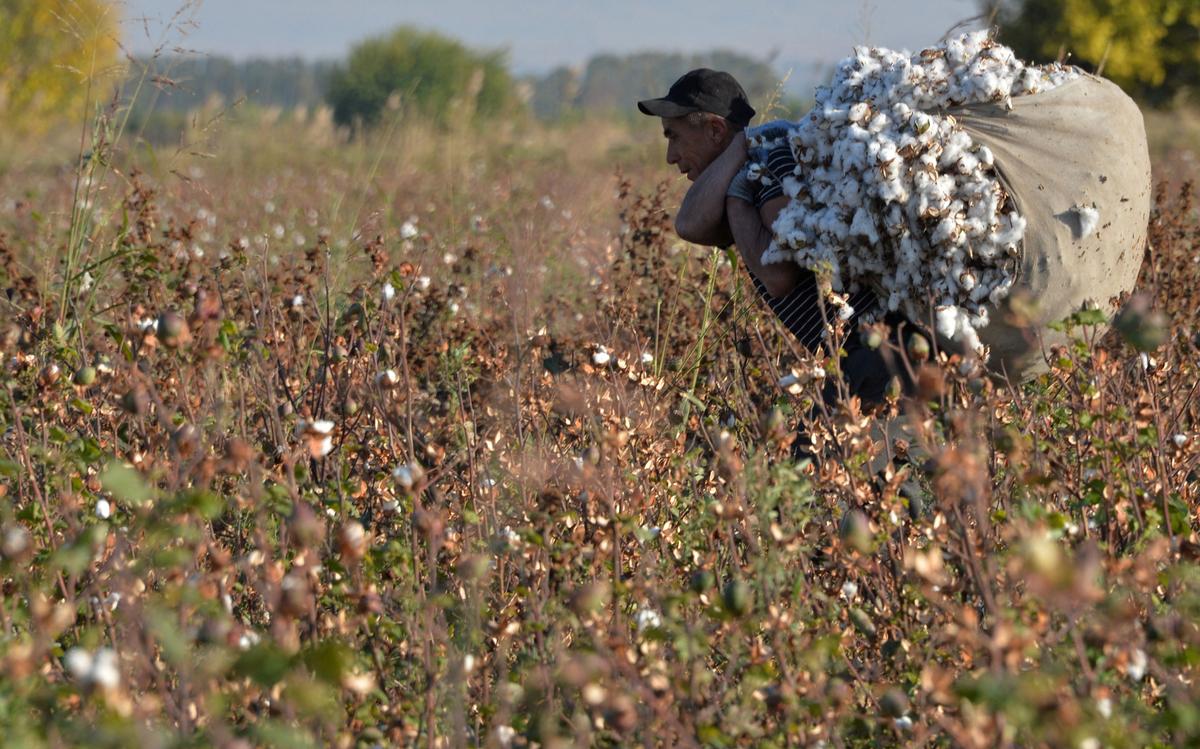 Forced Labour Crimes Increase 50 Percent in Australia