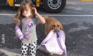 Dog Meets School Bus, Carries Little Girl’s Backpack to House