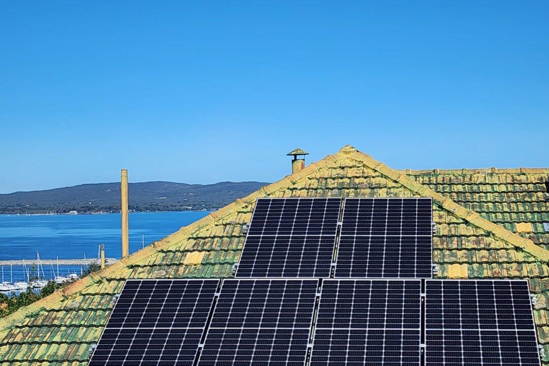 Energy Demand Rising Faster Than Renewable Rollout: Alinta CEO