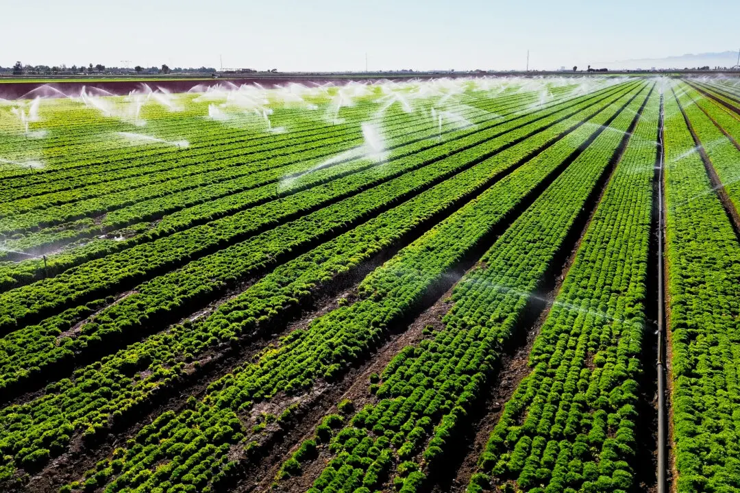 Pentagon, USDA Announce Collaboration to Bolster Agricultural Security