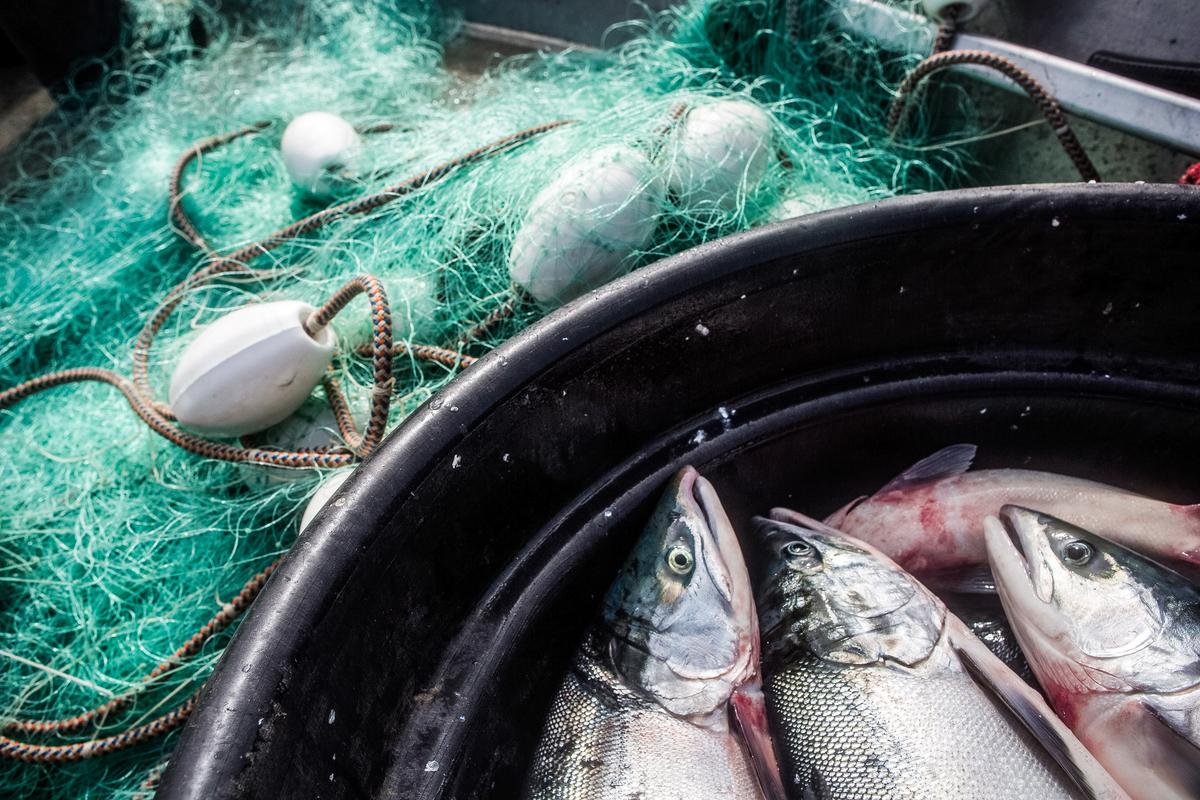 Biden Admin Handed a Win Against Alaska in Fishing Dispute