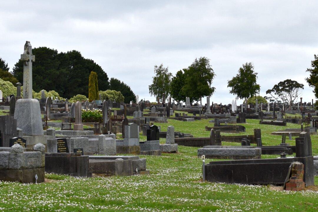 COVID-19 Vaccine Side Effects Under Scrutiny: Senate Inquiry Targets Excess Mortality