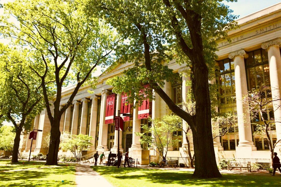 Maybe the Academic Bubble Is Finally Popping