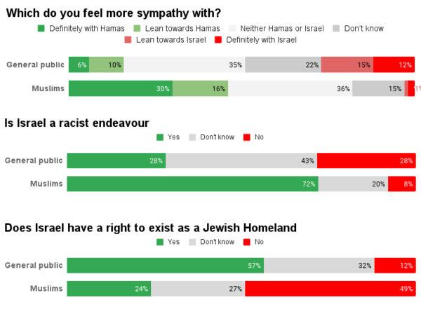 Part of a survey commissioned by the Henry Jackson Society think tank and conducted by JL Partners. (The Epoch Times)