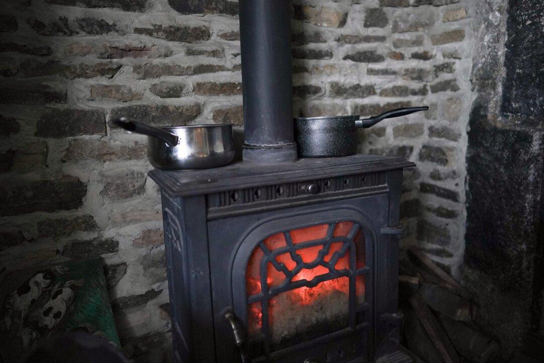 Scottish Government Denies Woodburning Stove Ban Will Leave Residents Without Backup