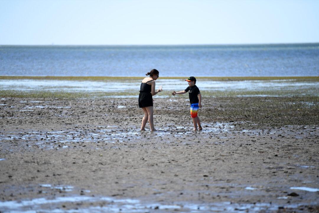 $1.4 Billion Queensland Harbour Project Rejected on Environmental Grounds