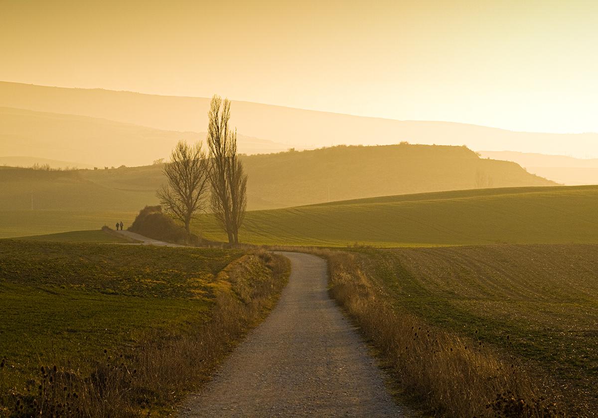 Preston Manning: ‘Straws in the Wind’: Are We Seeing Signs of a Spiritual Reawakening in the West?