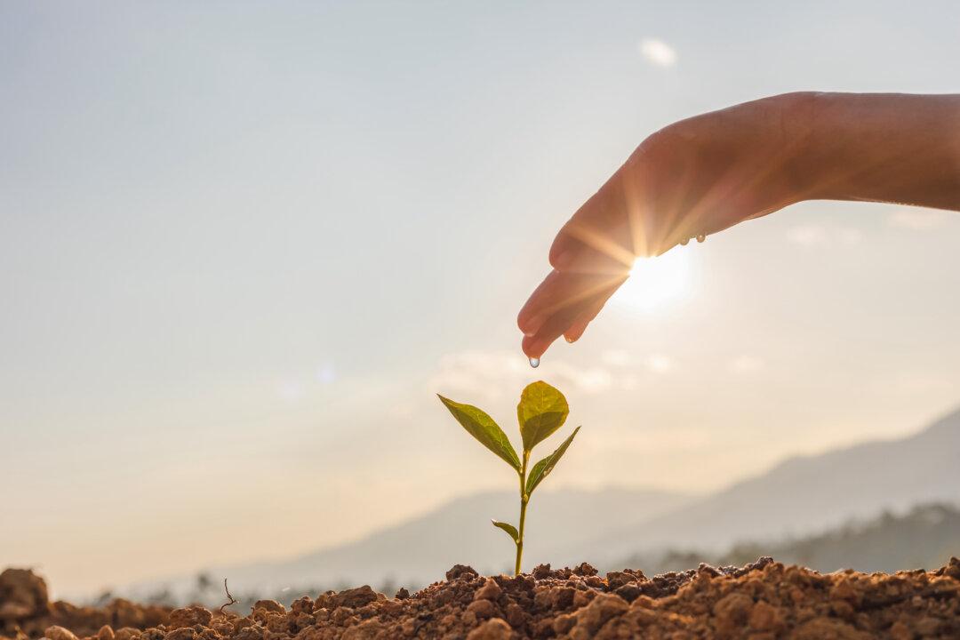 The Epidemic Beneath the Surface: Disconnection, Discomfort, and the Death of Resilience