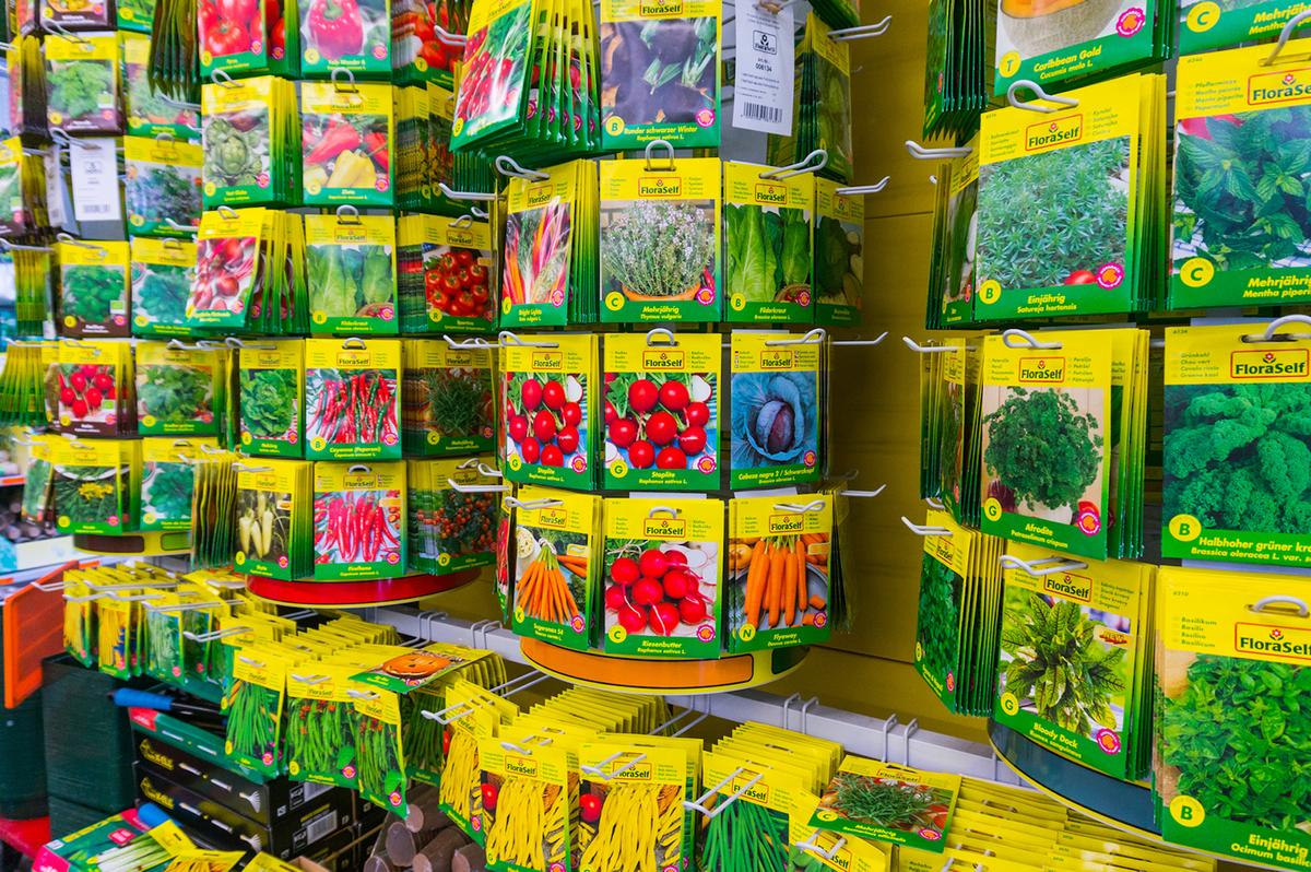 Many Benefits to Starting Your Plants From Seeds