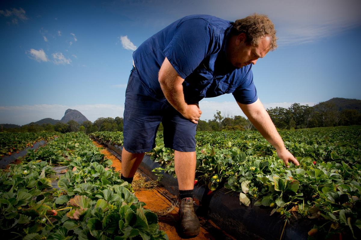 Australia’s Food and Grocery Manufacturing Facing ‘Extinction’: Peak Body