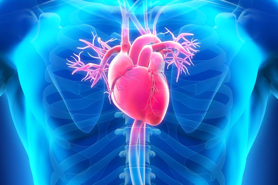 Fat Molecule Holds Clues for Treating Diabetic Heart Disease