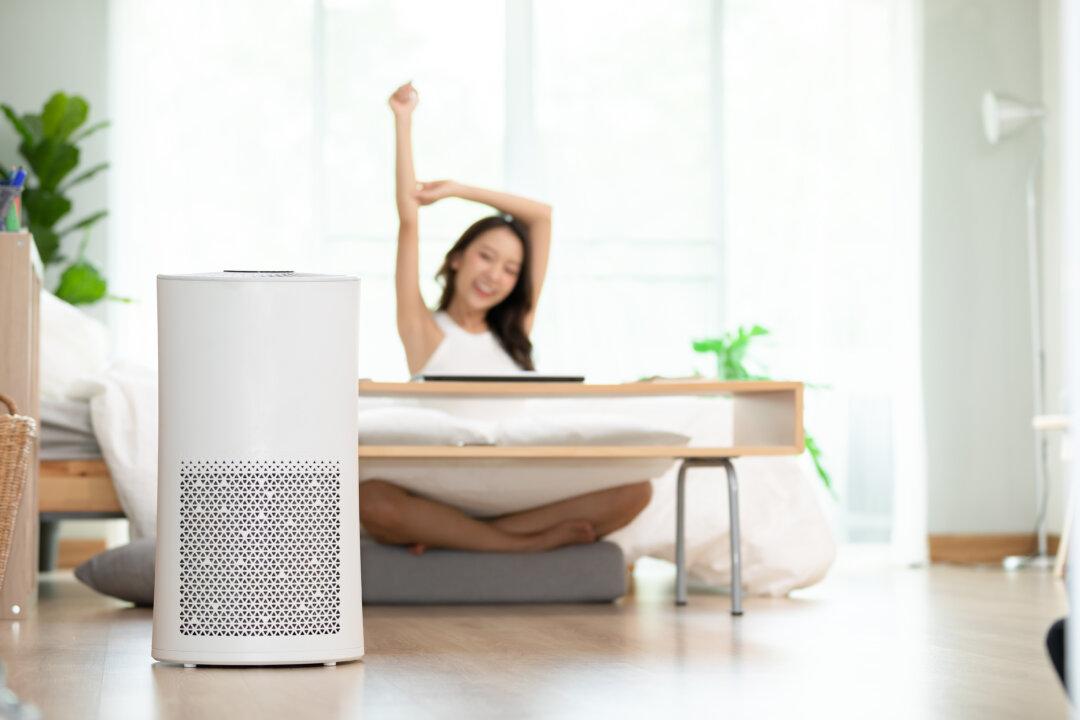 12 Air Purifiers to Get Rid of Airborne Dust, Pollen and Pet Hair