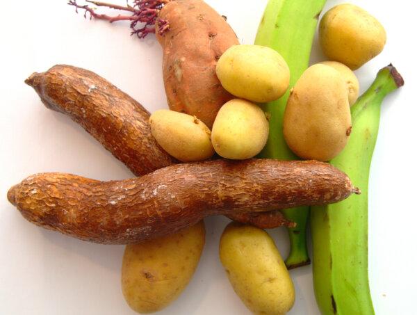 Yuccas, sweet potatoes, potatoes and green bananas. The discovery of easily grown crops like these led to a global population explosion. (josera/shutterstock)