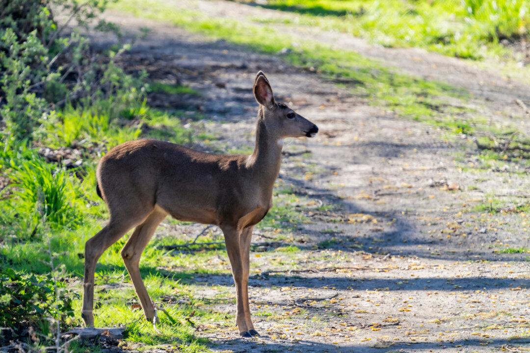 Pack a Bag for Dos Rios, California’s First New State Park in a Decade
