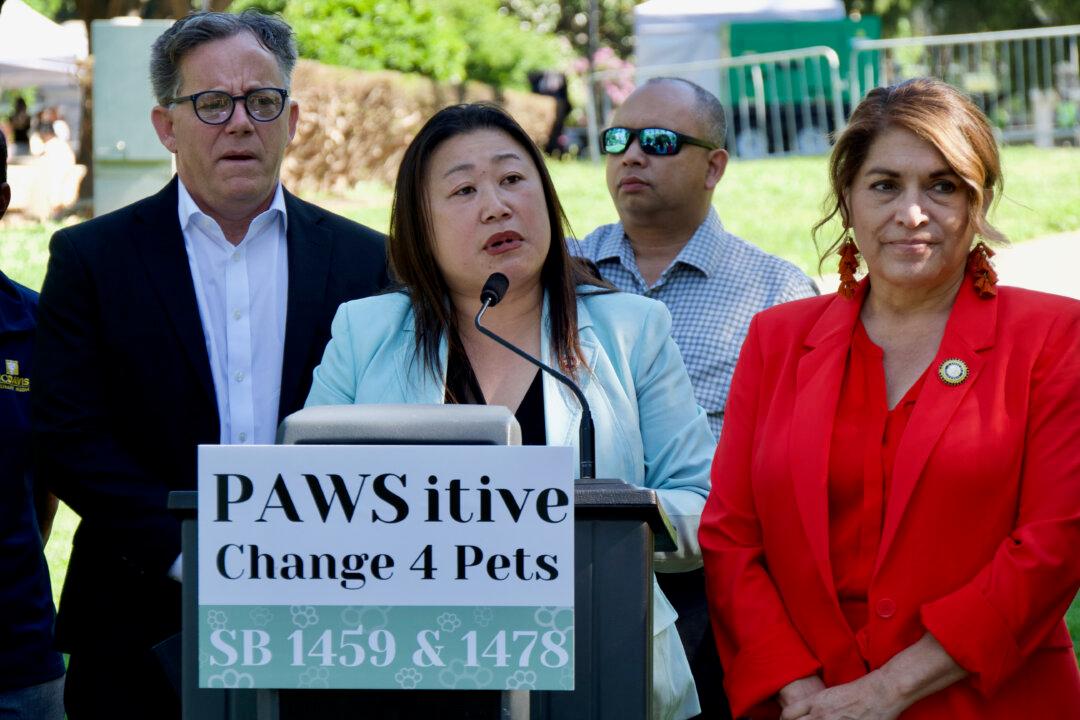 Bipartisan Pet Protection Bills Advance in California Legislature