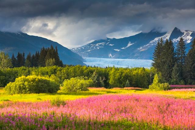 Juneau, Alaska: A City Where Indigenous Culture, Rich History, and Nature’s Wonders Collide
