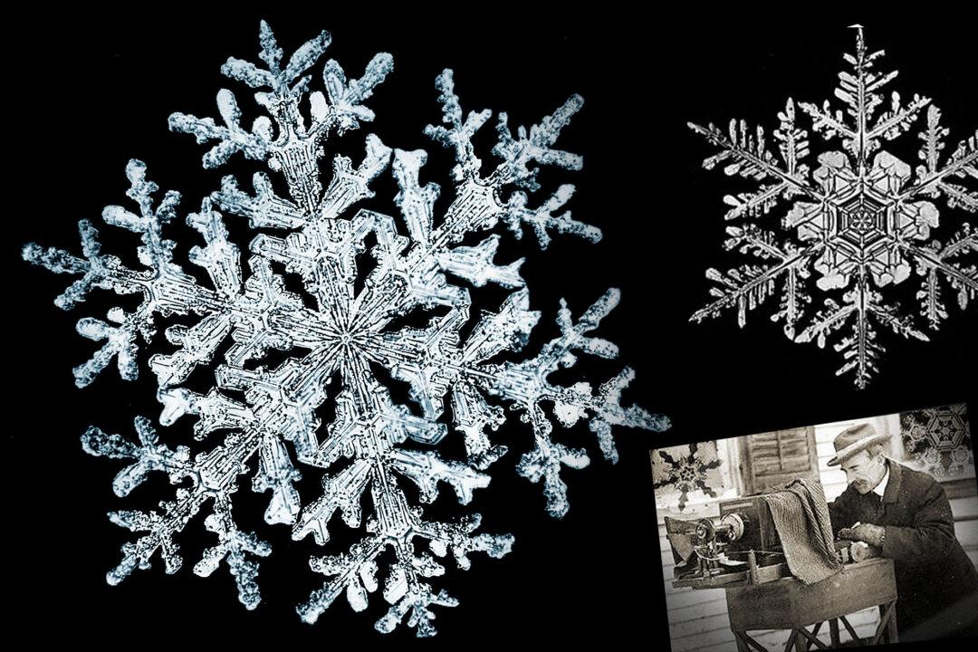 Vermont Farmer in 1885 Photographs First-Ever Ice Crystal Images With Microscope—Just Dazzling