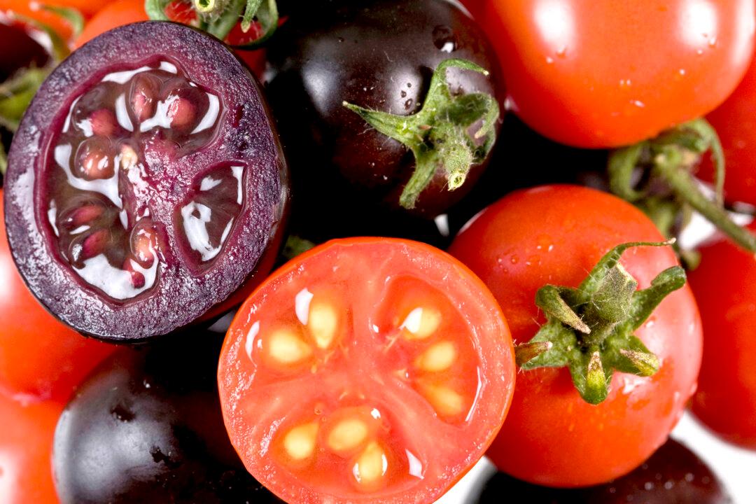 ‘Protect Our Seeds’: Canadian Farmers Raise Concerns Over Potential Sale of GM Seeds to Home Gardeners