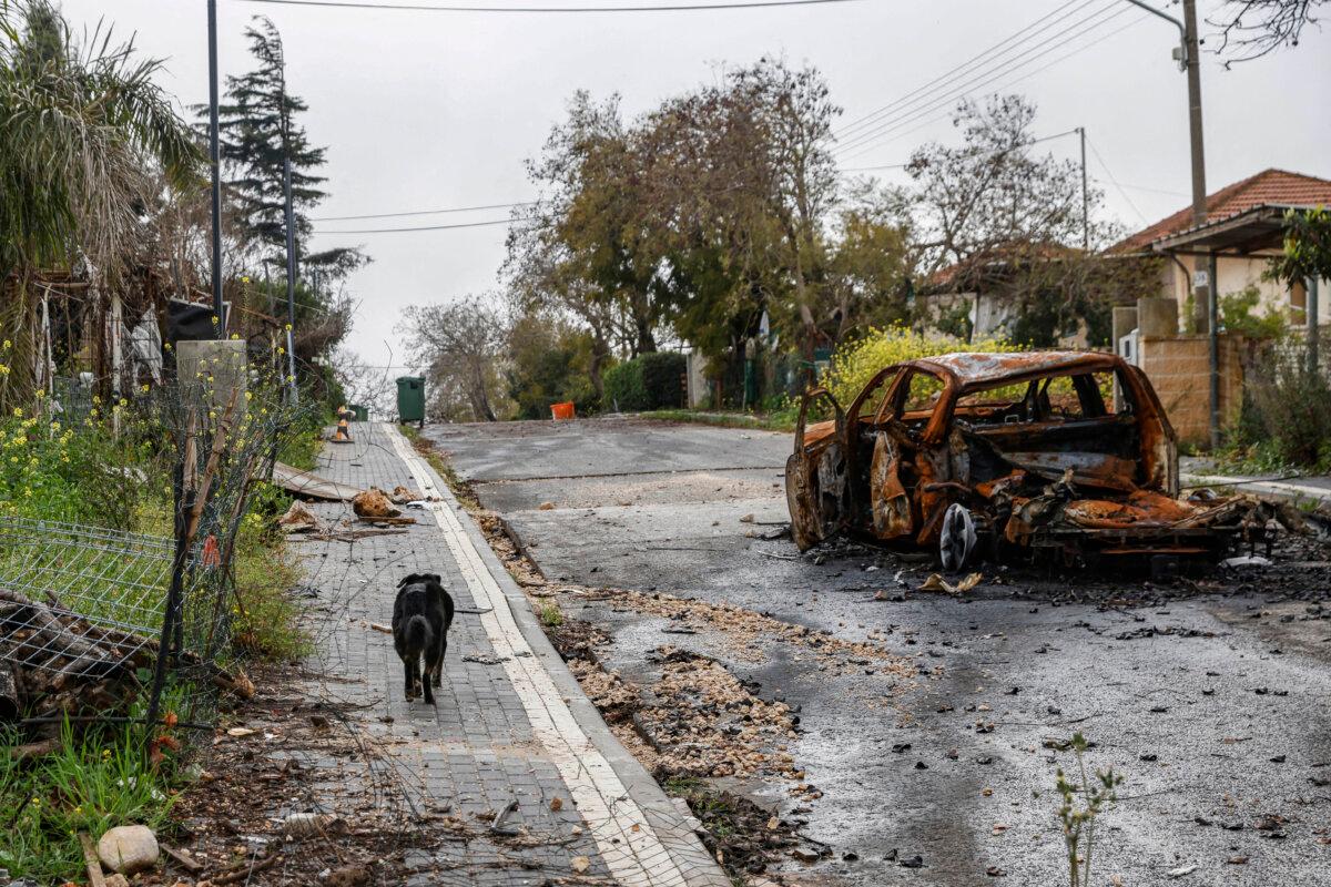 A dog walks past a destroyed car in the deserted northern Israeli town of Metula near the border with Lebanon on March 19, 2024. (Jalaa Marey/ AFP via Getty Images)