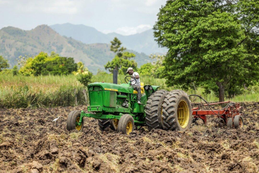Amid Gang Violence and New Haitian Leadership, Life Goes On for Millions