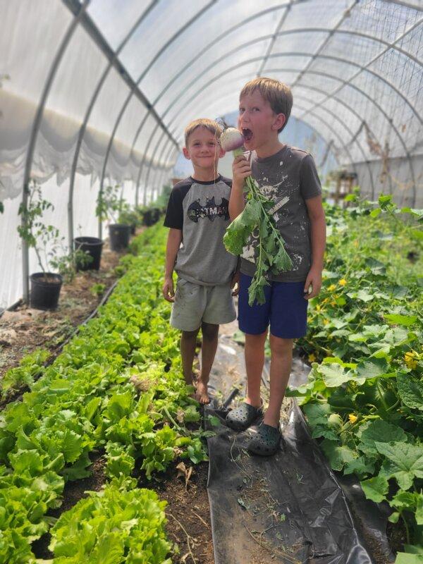 Seth Anderson's sons in their market garden. (Courtesy of Seth Anderson)